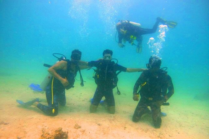 Pleasure Scuba Diving in Fujairah for Certified Diver - From Dubai’s towers to Fujairah’s rocky coast