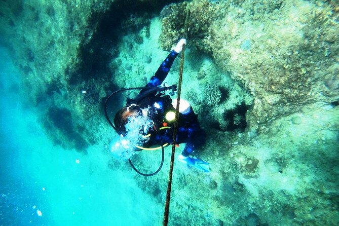 Pleasure Scuba Diving in Fujairah for Certified Diver - The marine life is a bonus, not a guarantee