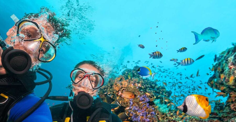 Polignano a Mare: Scuba Experience with certification - Why a group of four makes a difference