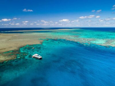 Port Douglas: Outer Barrier Reef Snorkel and Dive Options