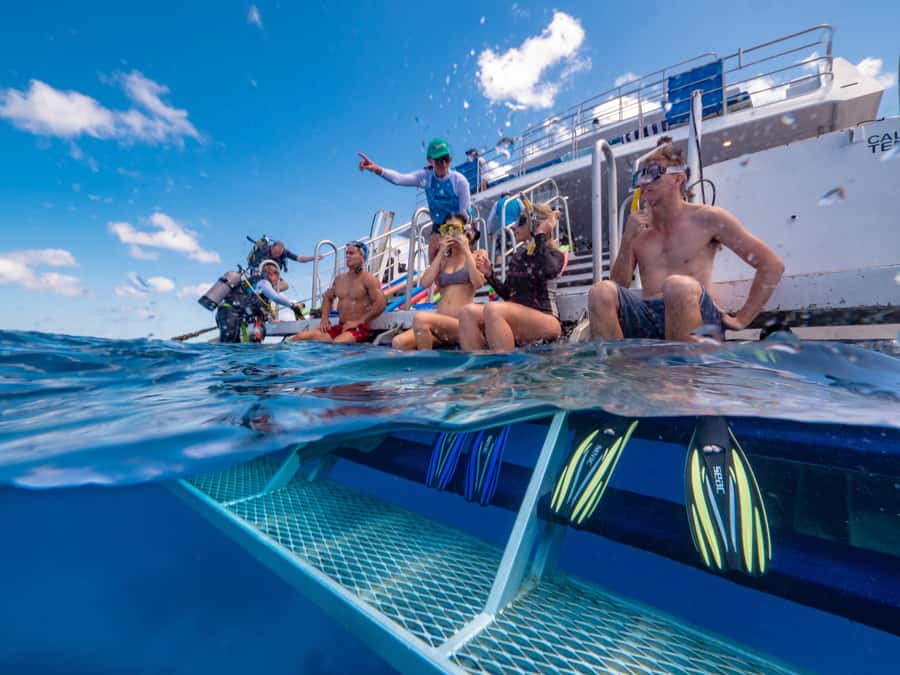 Port Douglas: Outer Barrier Reef Snorkel and Dive Options - Stop Three: A Final Chance to Swim or Rest