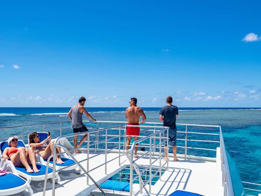 Port Douglas: Outer Barrier Reef Snorkel and Dive Options - What the $174 Price Really Buys