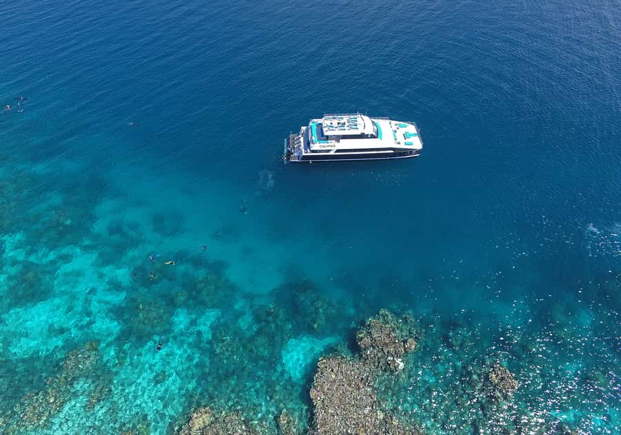 Port Douglas: Outer Barrier Reef Snorkel and Dive Options - Food, Comfort, and Practical Details