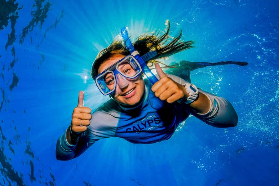 Port Douglas: Outer Barrier Reef Snorkel and Dive Options - Who Will Enjoy This Reef Day Most?