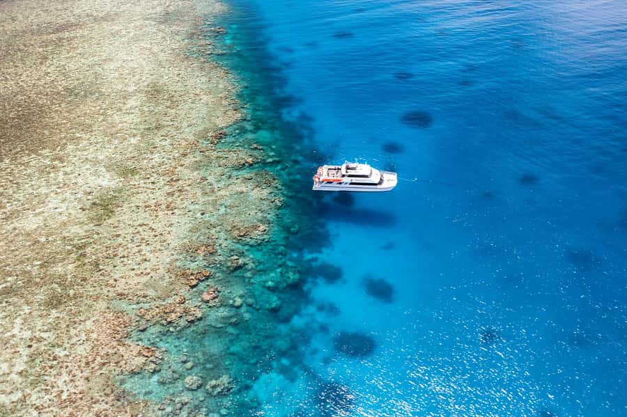 Port Douglas: Poseidon Outer Barrier Reef Dive and Snorkel - Why the Agincourt Ribbon Reefs matter