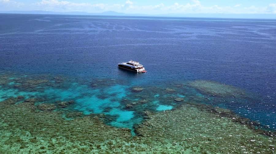 Port Douglas: Premium Outer Reef Dive Trip - The 90-minute ride aboard Calypso