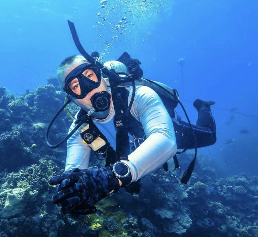 Port Douglas: Premium Outer Reef Dive Trip - Starting at 7:45 in Port Douglas