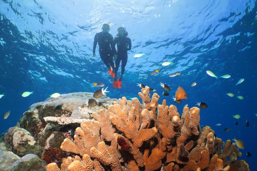 Port Douglas: Silversonic Great Barrier Reef Dive & Snorkel - Why three reef stops are worth the boat ride