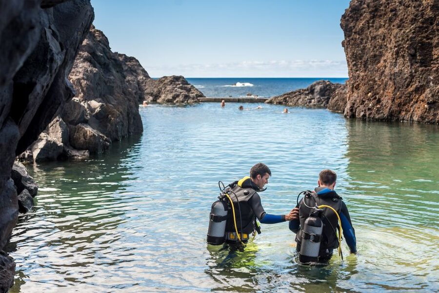 Porto Moniz: Diving with Sharks and Rays in Madeira Aquarium - Is $159 a fair price?