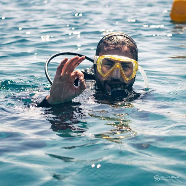 Porto-Vecchio: beginner diving in the Cerbicale Islands in the reserve - What the staff do especially well