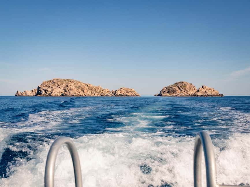 Porto-Vecchio: beginner diving in the Cerbicale Islands in the reserve - Is $171 a fair price?