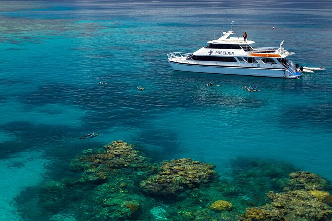 Poseidon Outer Great Barrier Reef Snorkeling and Diving Cruise from Port Douglas - Three reef sites mean three chances to find your favorite