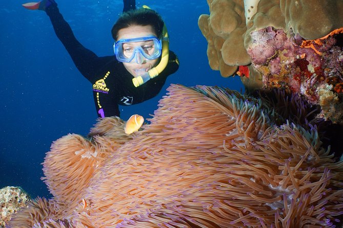 Poseidon Outer Great Barrier Reef Snorkeling and Diving Cruise from Port Douglas - Scuba options for first-timers and certified participants