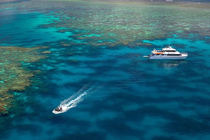Poseidon Outer Great Barrier Reef Snorkeling and Diving Cruise from Port Douglas - Price and what you receive for $225.93