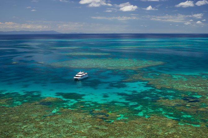 Poseidon Outer Great Barrier Reef Snorkeling and Diving Cruise from Port Douglas - What the Poseidon boat does well