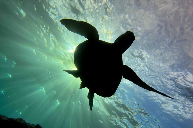 Premium Afternoon Scuba Charter for All Certified Diver Levels - Boat comfort makes a four-hour trip easier