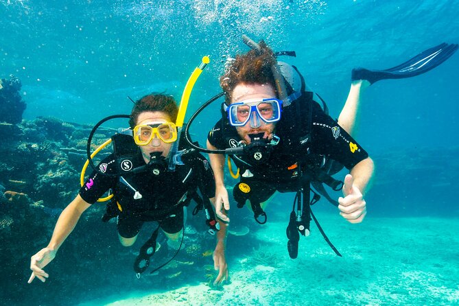 Premium Guided Dive Trip - Outer Great Barrier Reef - Key points at a glance