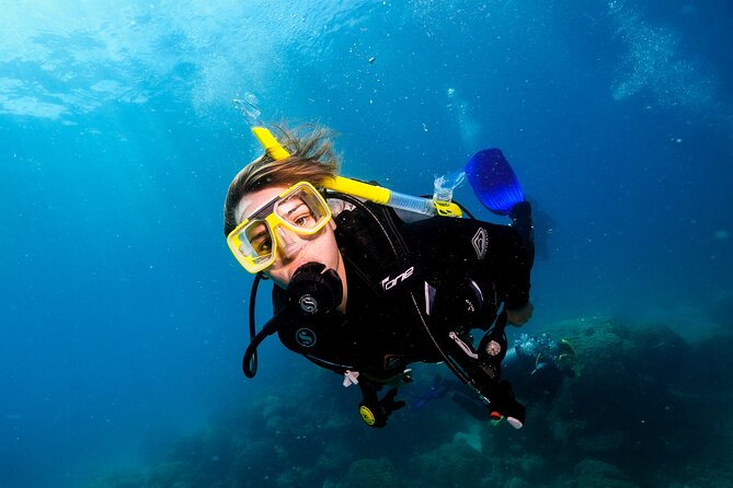 Premium Guided Dive Trip - Outer Great Barrier Reef - Equipment, lunch, and the practical value of $192