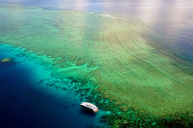 Premium Guided Dive Trip - Outer Great Barrier Reef - Should you book Scuba IQ’s Outer Reef trip?