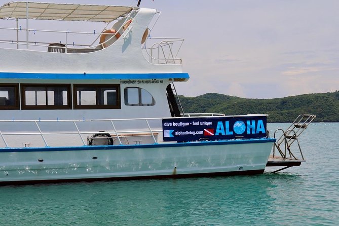Premium Guided Scuba Diving Day Trip for Certified Divers - Who Will Enjoy This Most