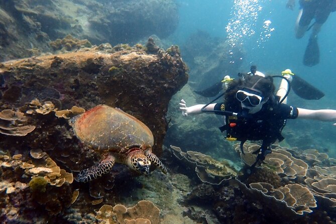 "Premium" Non Certified Beginner Scuba Diving in Racha Yai/Noi - Three sessions, each up to 50 minutes