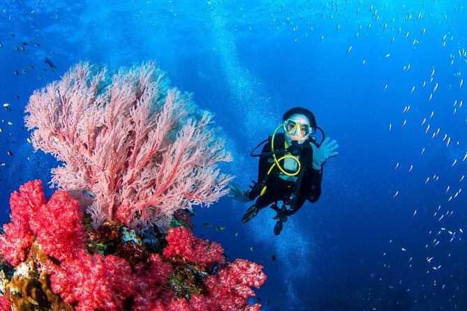 "Premium" Non Certified Beginner Scuba Diving in Racha Yai/Noi - Health checks, alcohol rules, and the no-fly period