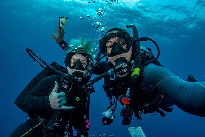 Private 2-Tank Dive with PADI Instructor for Certified Divers - Why the small group changes the experience