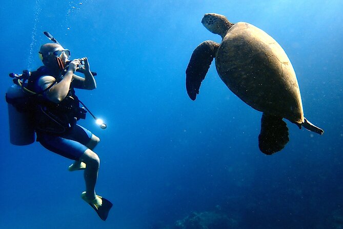 Private and Personalized Scuba Diving Adventures for All Experience Levels - A private start in Kaanapali