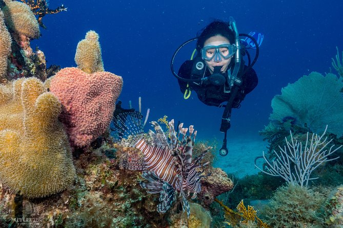 Private Bayahibe 3 Tank Diving with Lunch from Punta Cana - Key points at a glance