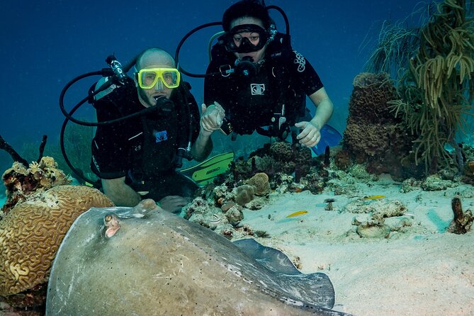 Private Bayahibe 3 Tank Diving with Lunch from Punta Cana - Two morning sessions before lunch