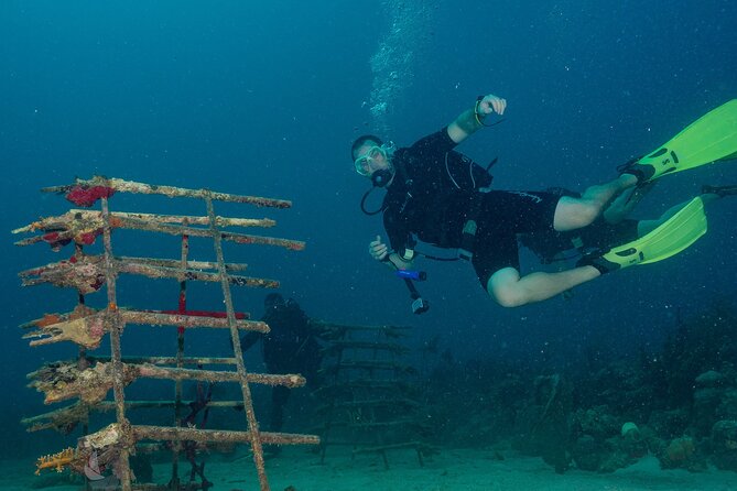 Private Bayahibe 3 Tank Diving with Lunch from Punta Cana - The 7:30 a.m. pickup from Punta Cana