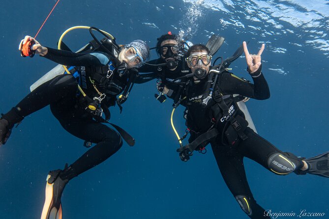 Private Beginner Scuba Diving Experience in Cabo San Lucas - Exploring near El Arco