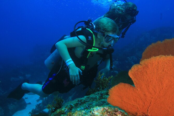 Private Beginner Scuba Diving Experience in Cabo San Lucas - Who will enjoy this most?