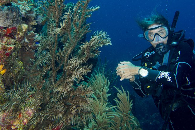 Private Discover Scuba Diving - How the $190 price measures up