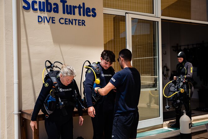 Private Discover Scuba Diving Experience in Messinia - The underwater tour and what you may see