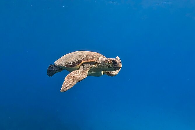 Private Discover Scuba Diving Experience in Messinia - What happens before you enter the water
