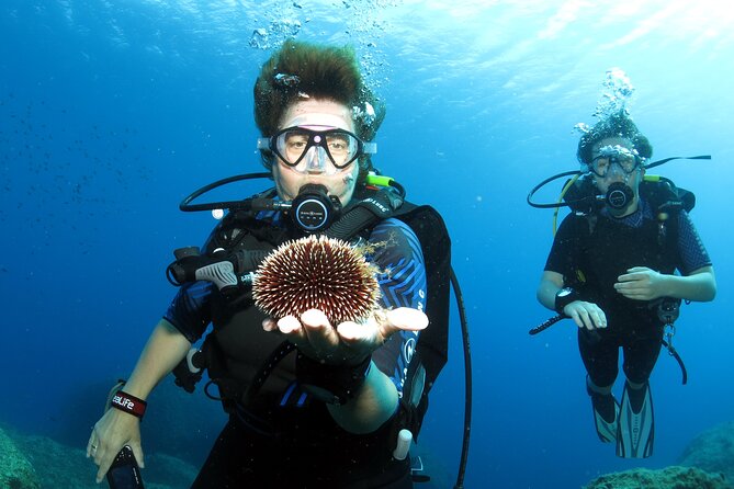 Private Discover Scuba Diving for Beginners in Athens with Pickup - The practical comfort of pickup and hot showers