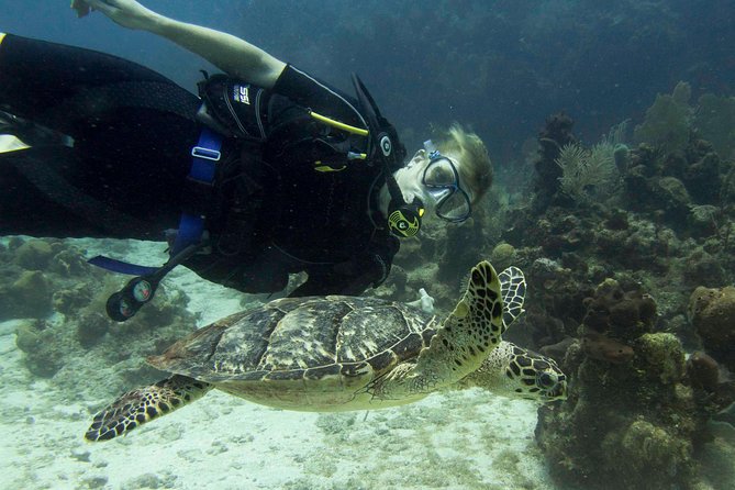 Private Discover Scuba Diving - Exploring West Bay’s reef with an instructor