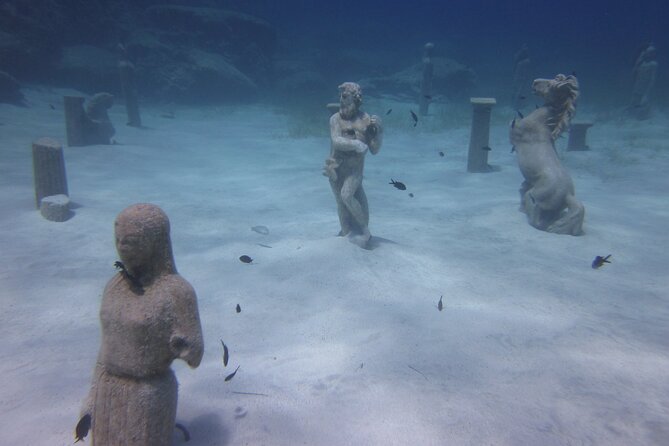 Private Discovery Dive + Photos & Videos - Photos and videos add real value