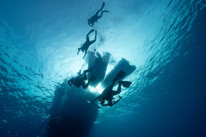 Private Discovery Scuba Diving with Sea Turtles - What the $102.35 price gets you