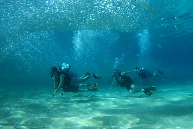 Private Dive Boat for Certified Divers - Cabo San Lucas - Why a private boat changes the Cabo outing