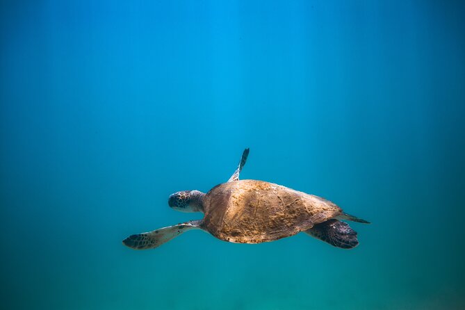 Private Dive Boat for Certified Divers - Cabo San Lucas - A surface break with the Arch of Cabo San Lucas