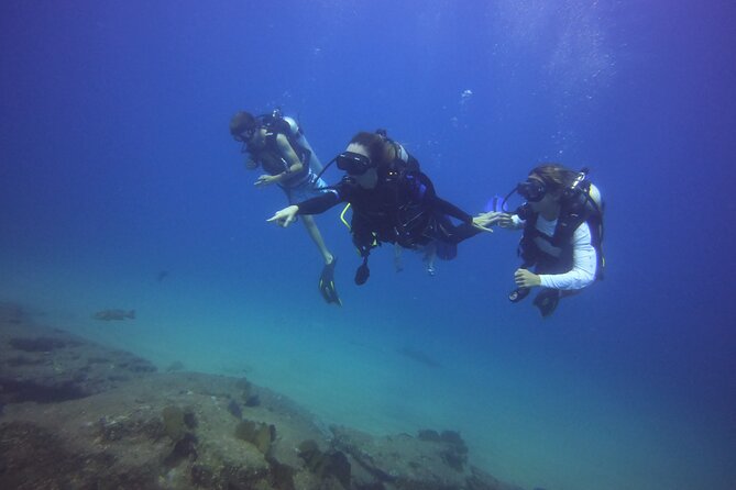 Private Dive Boat for Certified Divers - Cabo San Lucas - From Plaza Nautica to the Cabo marine reserve