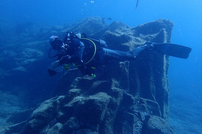 Private Dive Discovery for Beginners from a Boat - What the $120.51 price includes