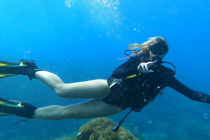 Private Dive Discovery for Beginners from a Boat - The first briefing: safety before scenery