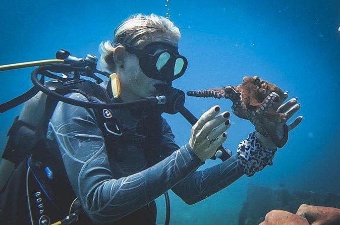 Private Dive + videographer/Photographer (Certified divers only) - What happens during the two-hour outing