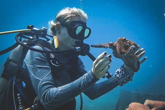 Private Dive + videographer/Photographer (Certified divers only) - Transport, group size, and practical planning