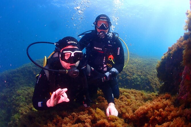 Private diving baptism in the Golf of Calvi - Key points to know before booking