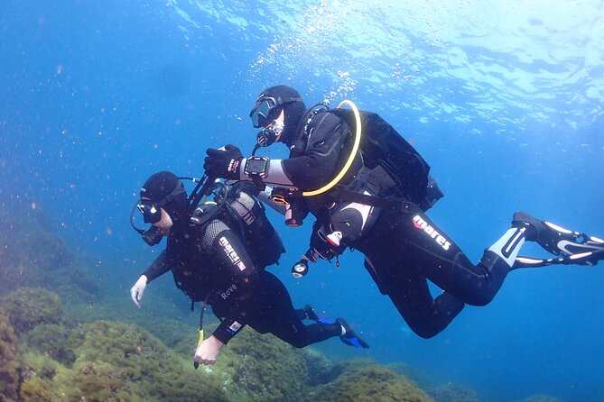 Private diving baptism in the Golf of Calvi - Starting at Sea Horse Diving Calvi in the marina