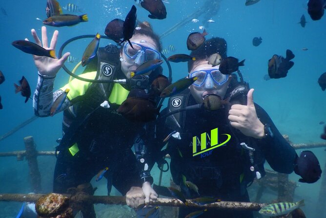 Private Diving Experience in Nusa Dua with Hotel Pick Up - Key Points Before You Book